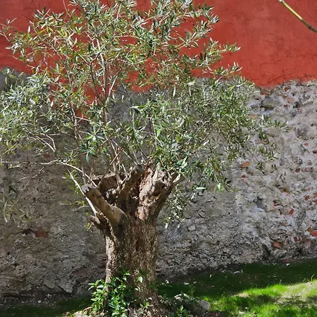 Blu Oltremare Bijoux Bed and breakfast Varazze