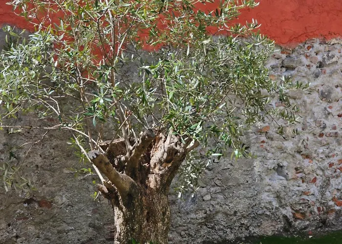 Blu Oltremare Bijoux Bed & Breakfast Varazze